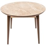 Masa T210 Maro deschis